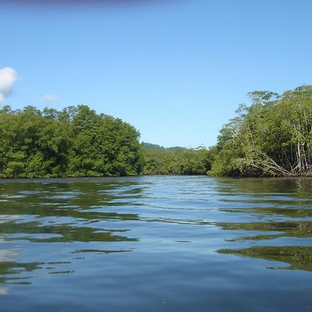 Isla Violin Eco-Lodge Drake Bay Luaran gambar