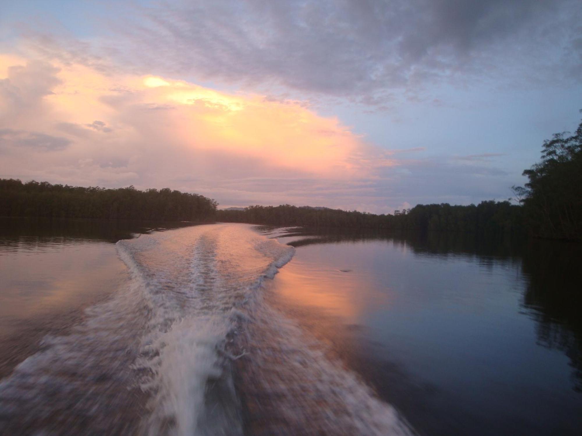Isla Violin Eco-Lodge Drake Bay Luaran gambar