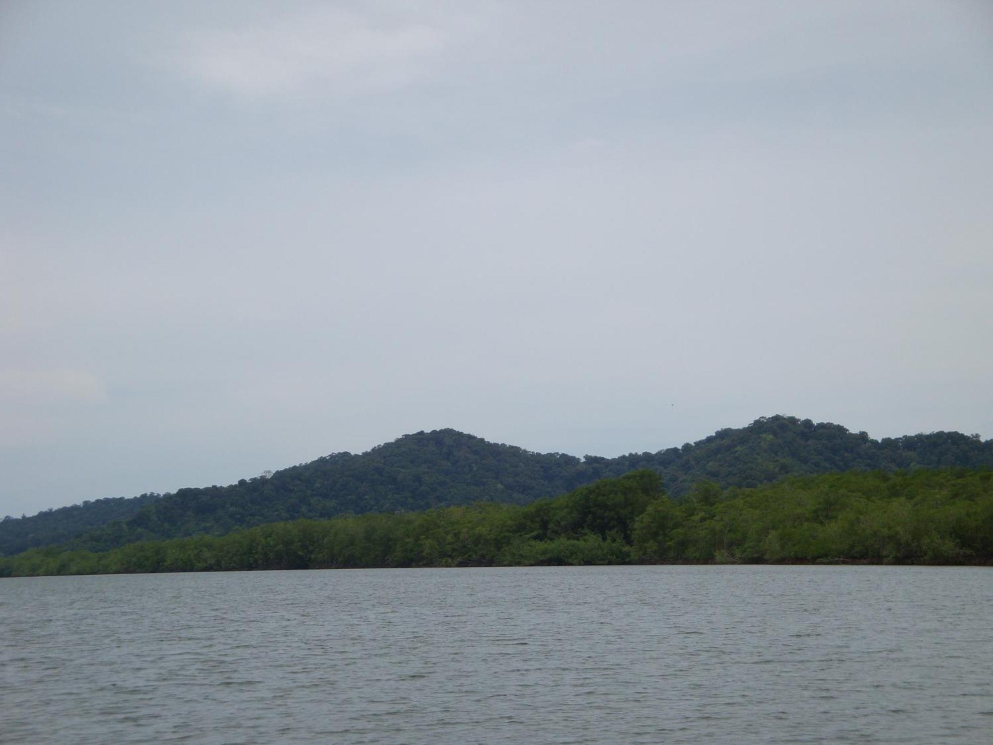 Isla Violin Eco-Lodge Drake Bay Luaran gambar