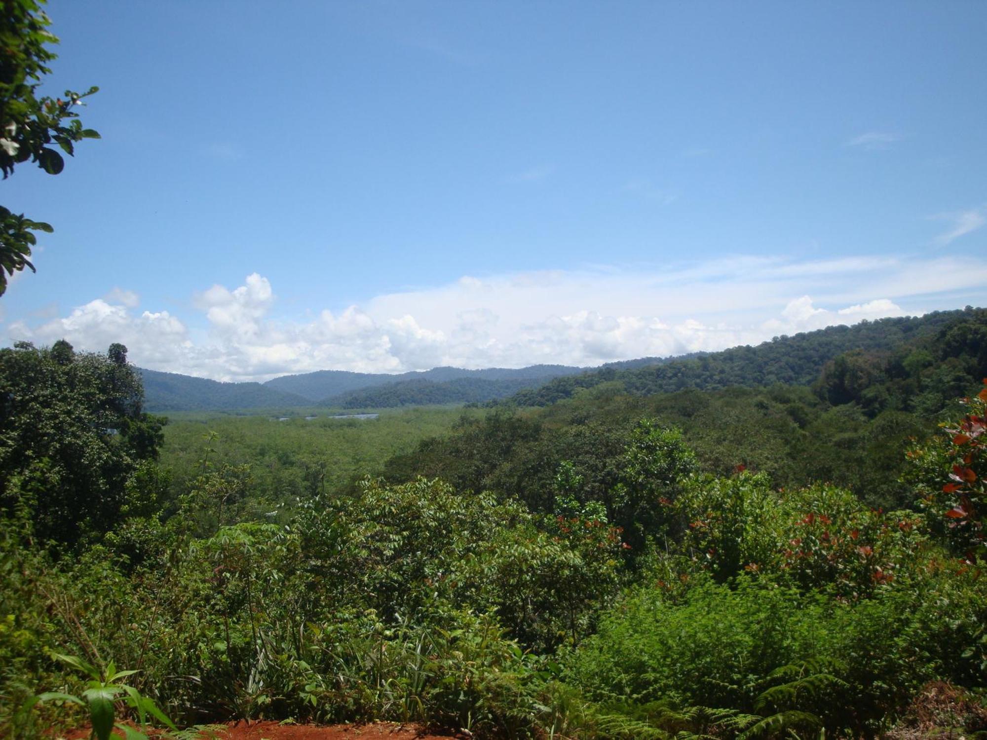 Isla Violin Eco-Lodge Drake Bay Luaran gambar