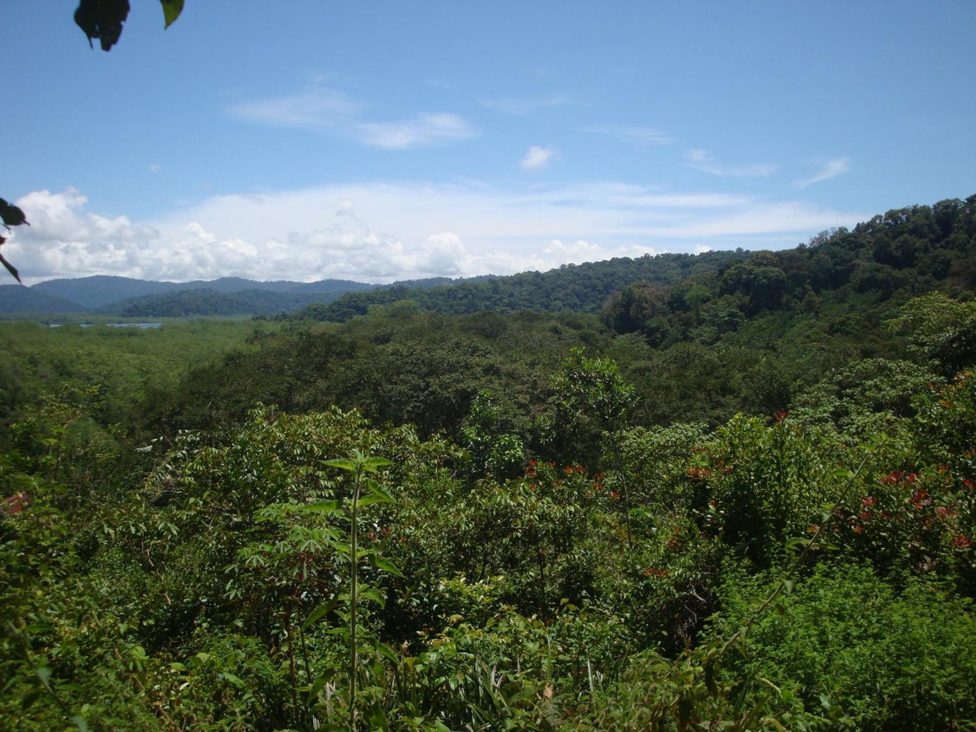 Isla Violin Eco-Lodge Drake Bay Luaran gambar