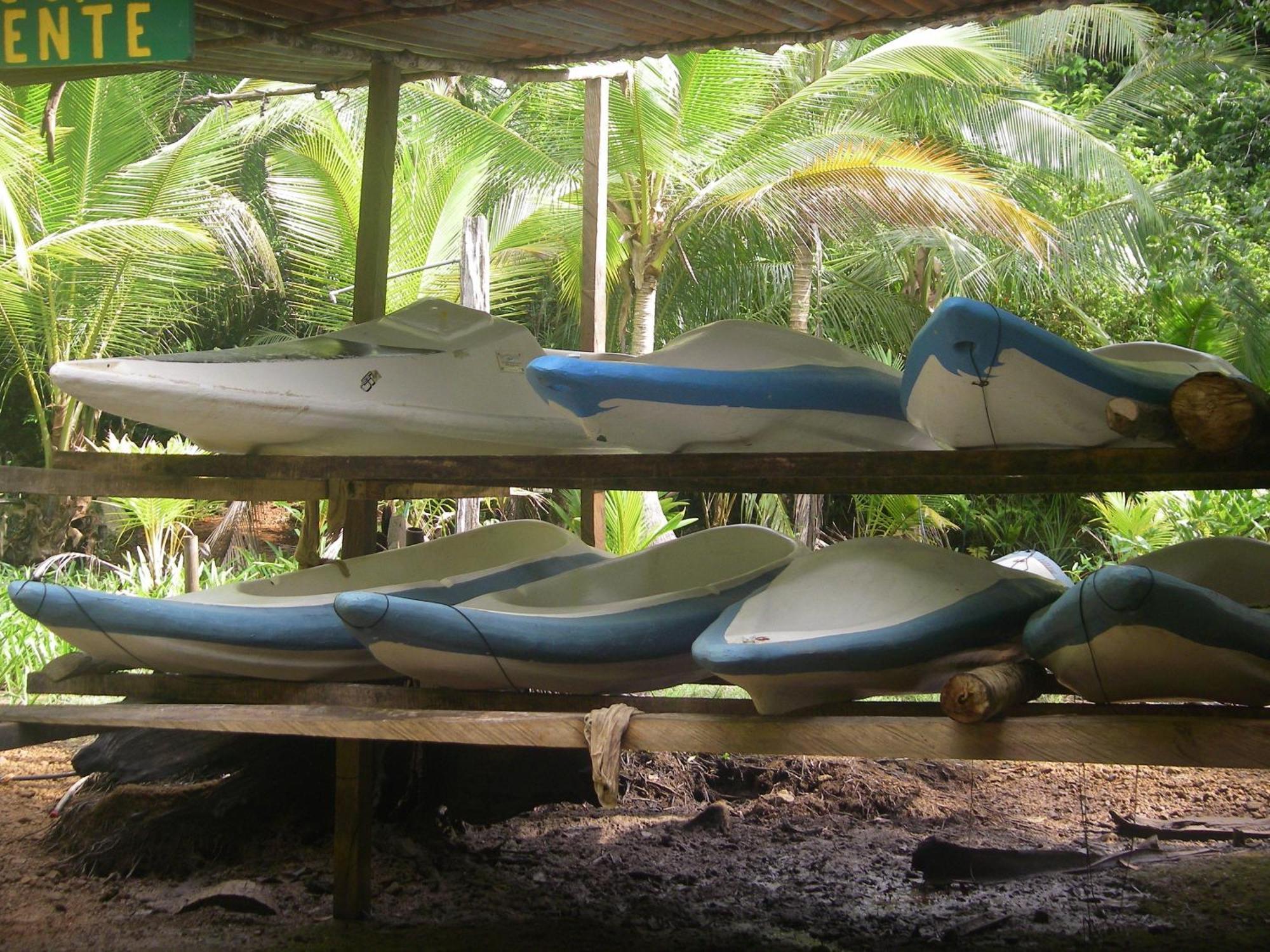 Isla Violin Eco-Lodge Drake Bay Luaran gambar