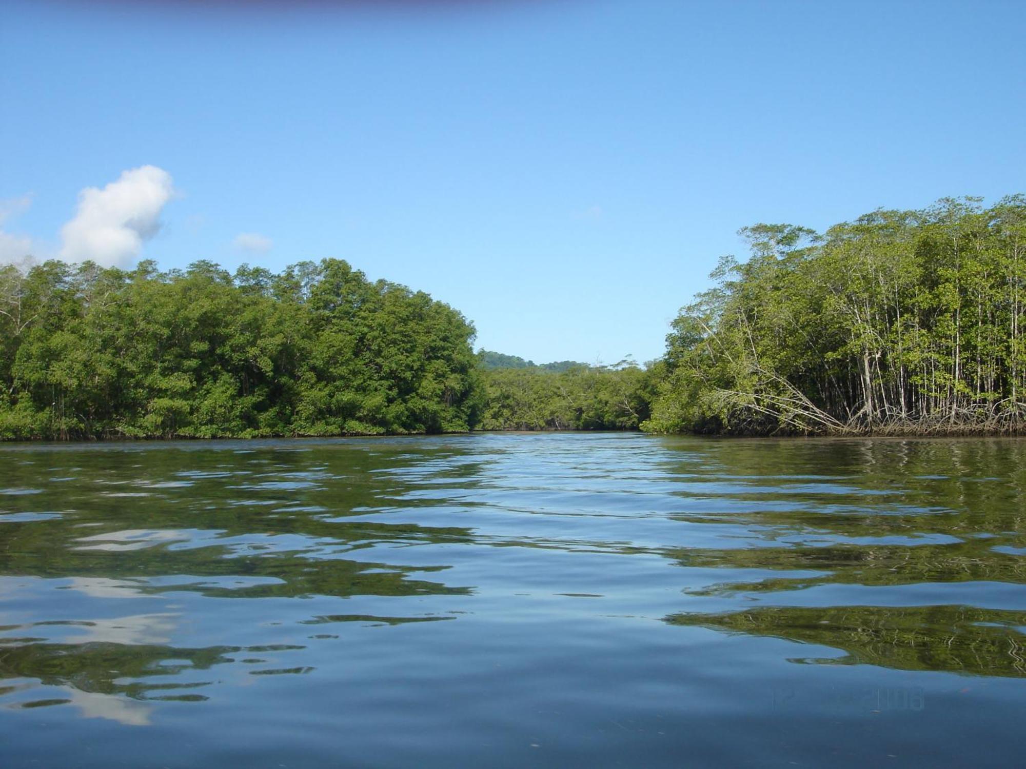 Isla Violin Eco-Lodge Drake Bay Luaran gambar