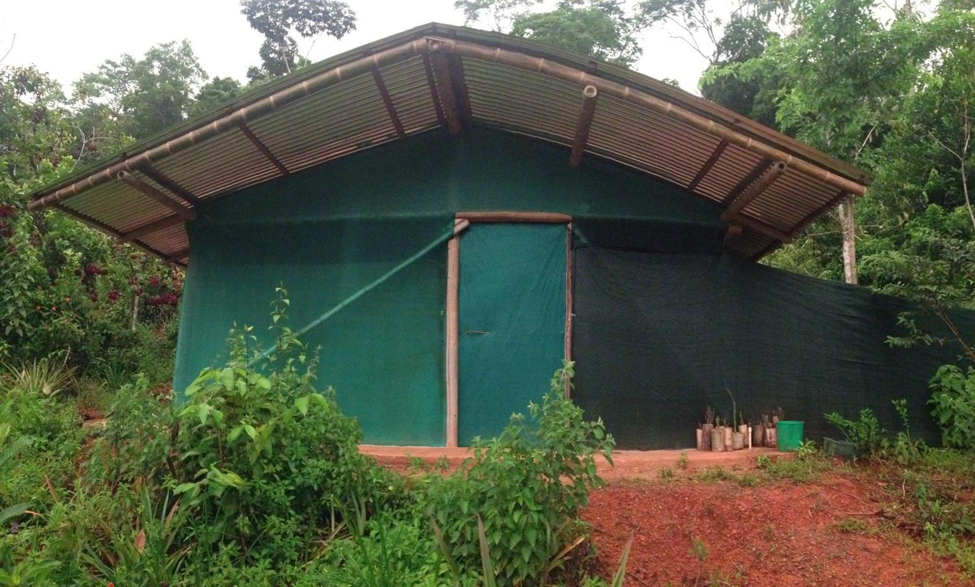 Isla Violin Eco-Lodge Drake Bay Bilik gambar