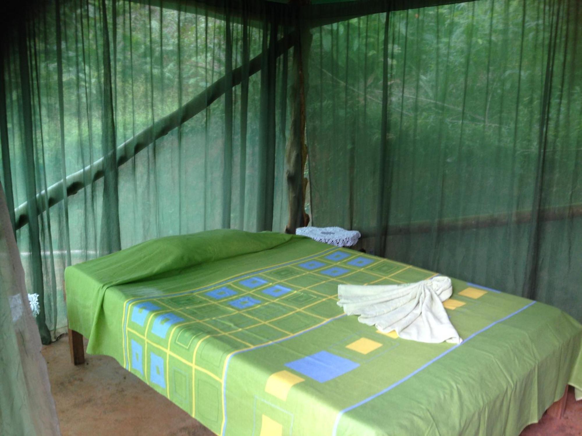 Isla Violin Eco-Lodge Drake Bay Bilik gambar