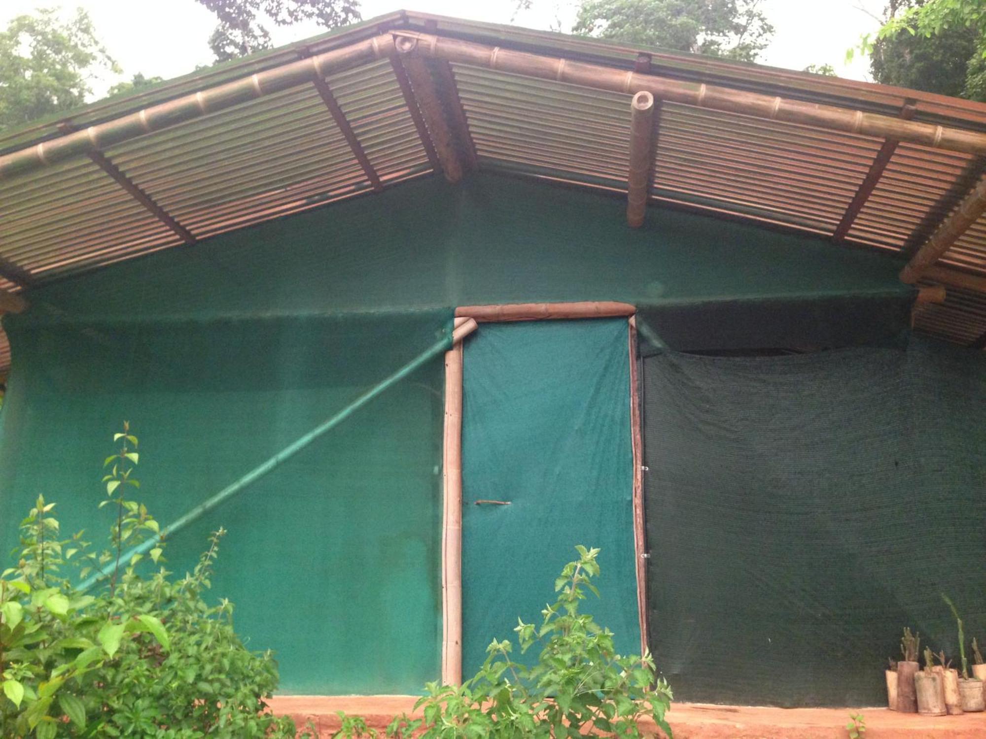 Isla Violin Eco-Lodge Drake Bay Bilik gambar