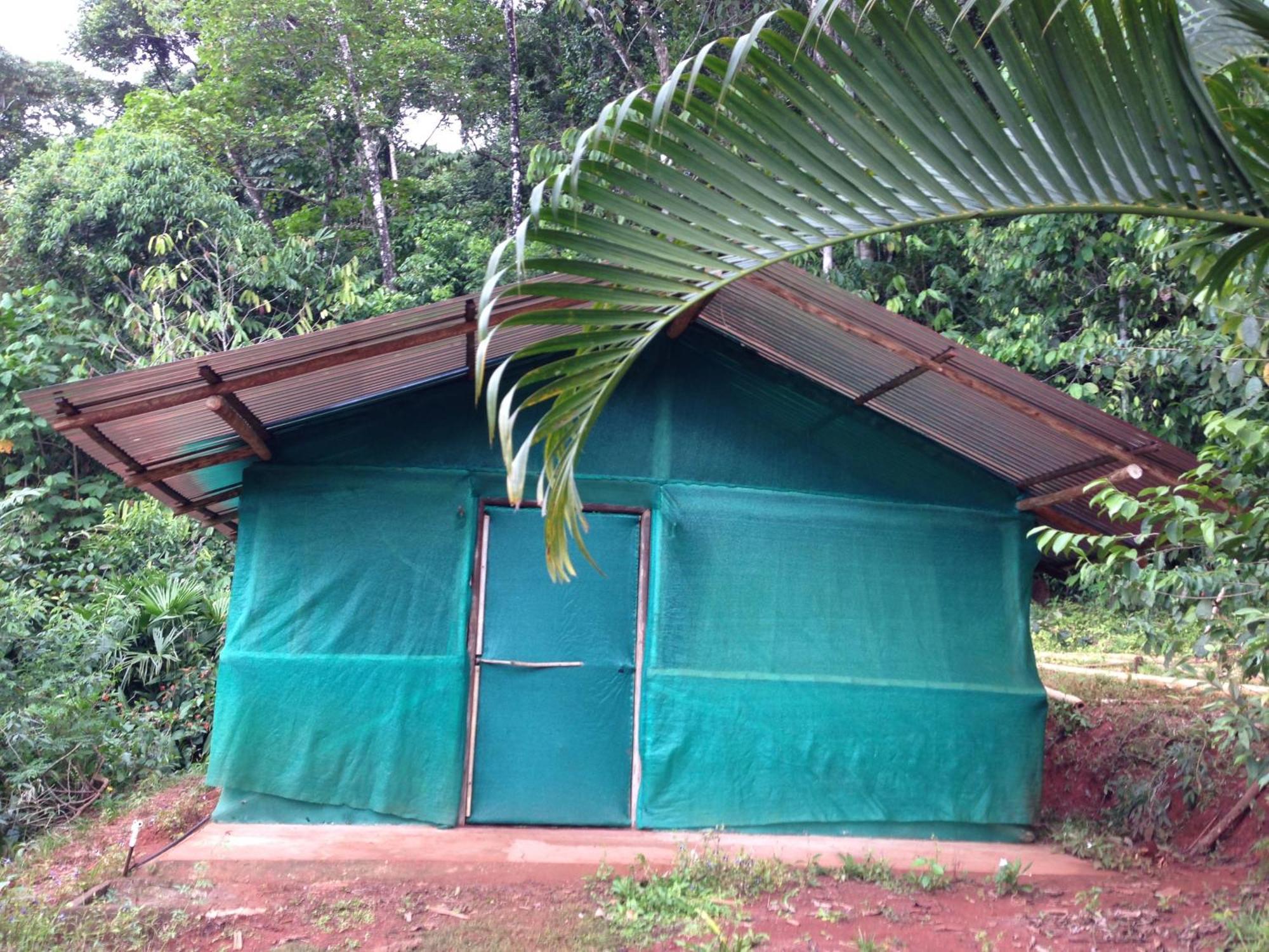 Isla Violin Eco-Lodge Drake Bay Bilik gambar