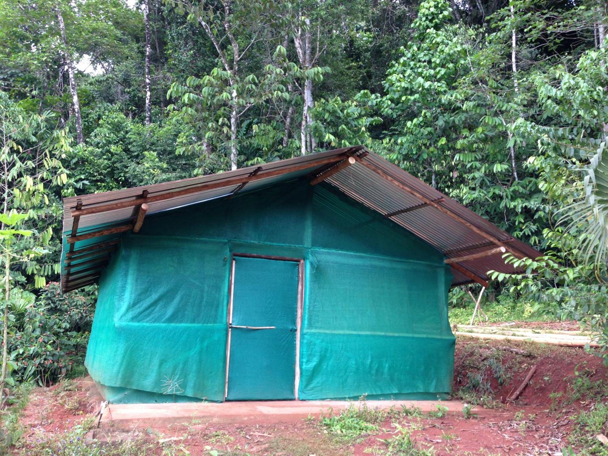 Isla Violin Eco-Lodge Drake Bay Bilik gambar
