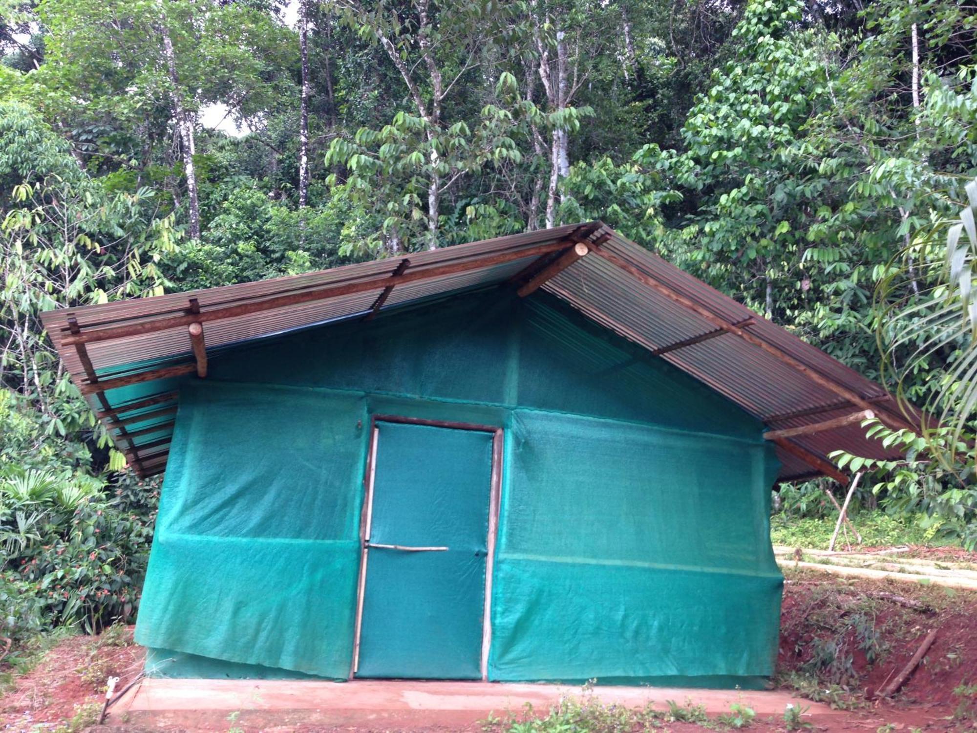 Isla Violin Eco-Lodge Drake Bay Bilik gambar
