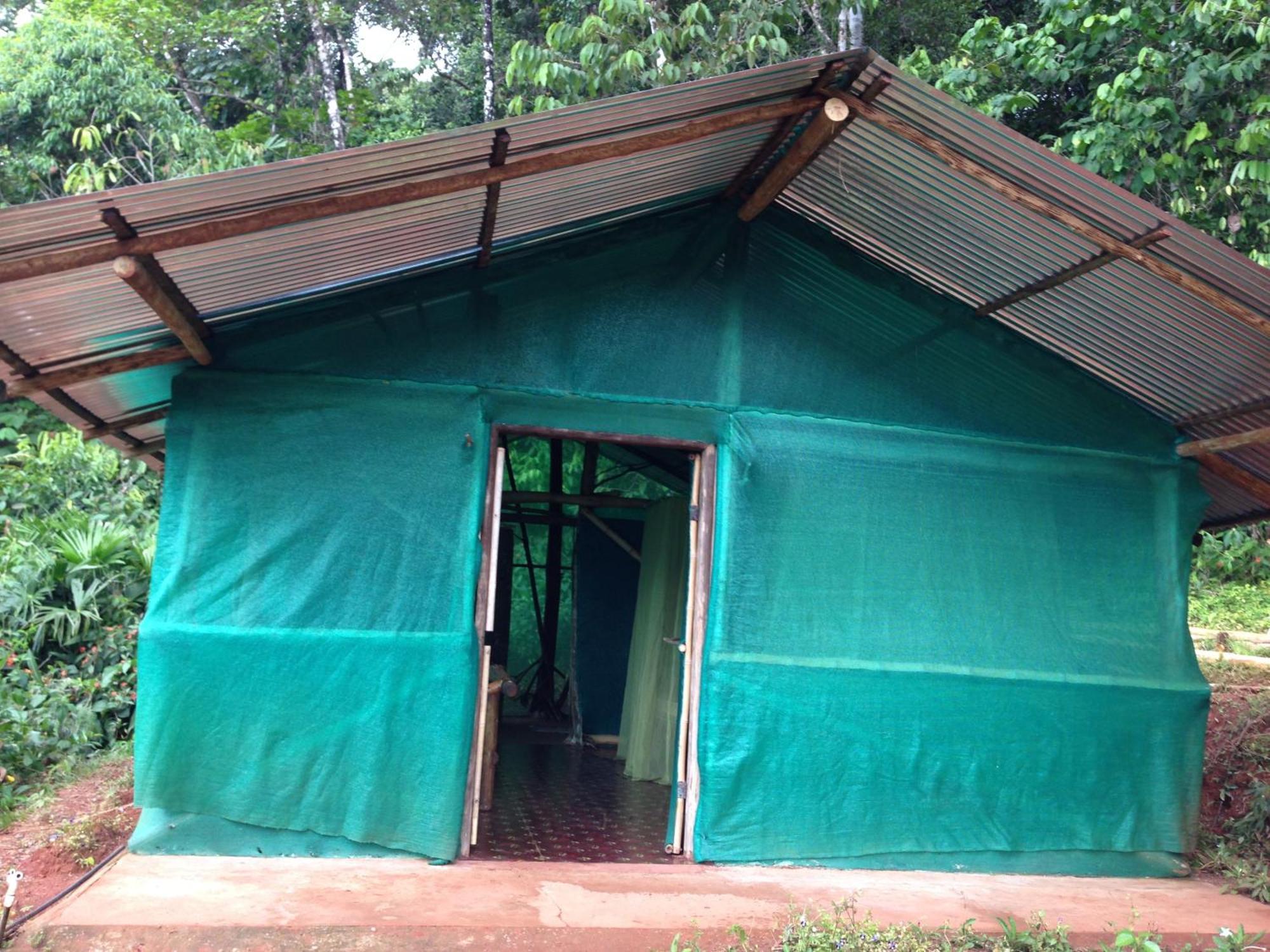Isla Violin Eco-Lodge Drake Bay Bilik gambar